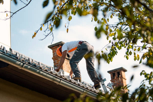 Best Roof Ventilation Installation  in Bidwell, OH
