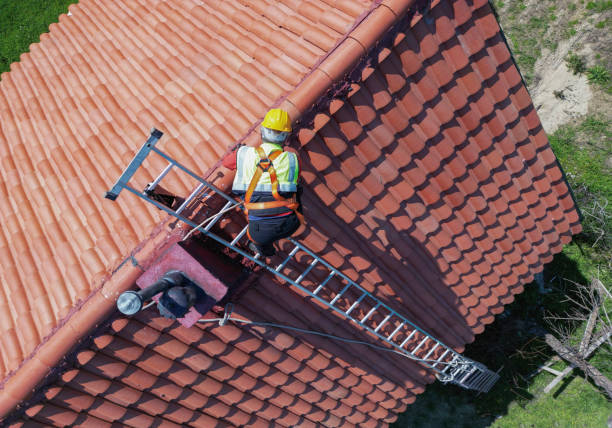Best Storm Damage Roof Repair  in Bidwell, OH